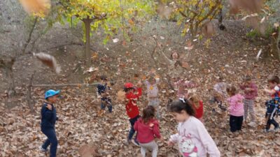 Aulas de otoño 2024