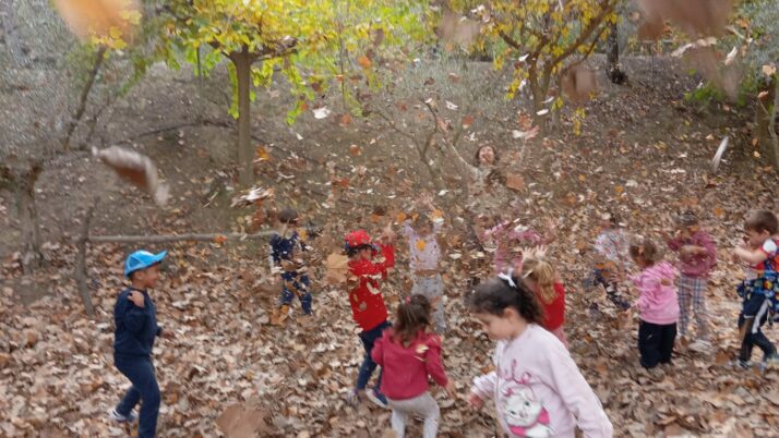 Aulas de otoño 2024